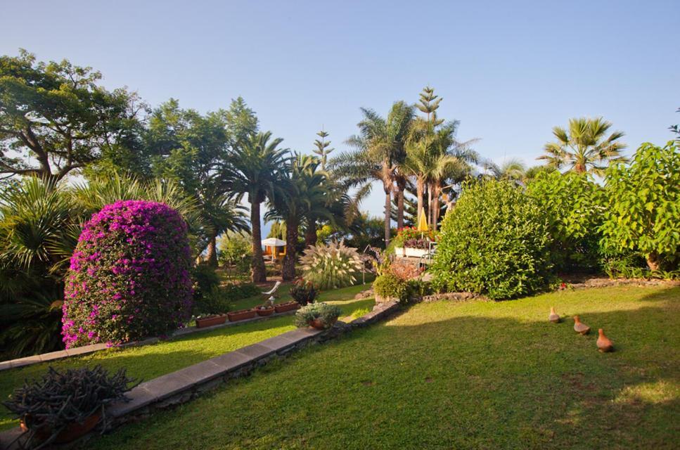 Hotel Finca Casa Vieja Santa Úrsula Exteriér fotografie